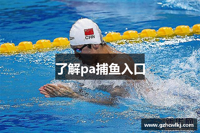 了解pa捕鱼入口